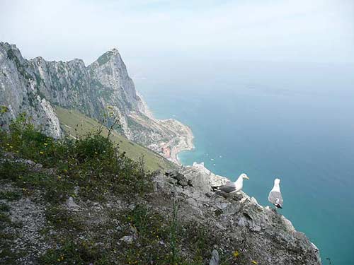Gibraltar, 35mm film, 2008